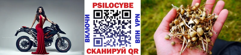 Псилоцибиновые грибы Psilocybe  hydra tor  Щигры  цена  